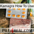 Kamagra How To Use new13